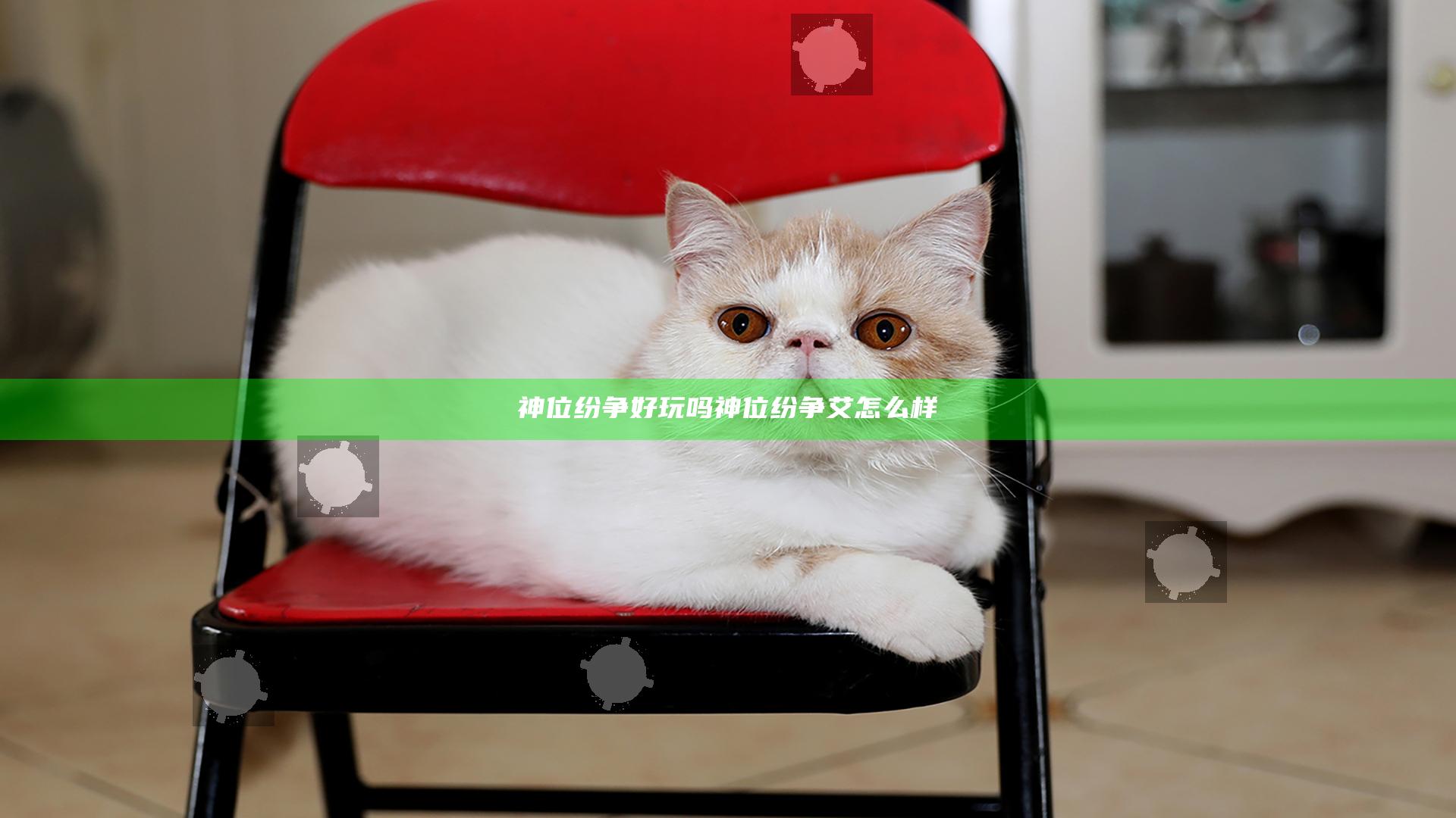 神位纷争好玩吗 神位纷争艾怎么样