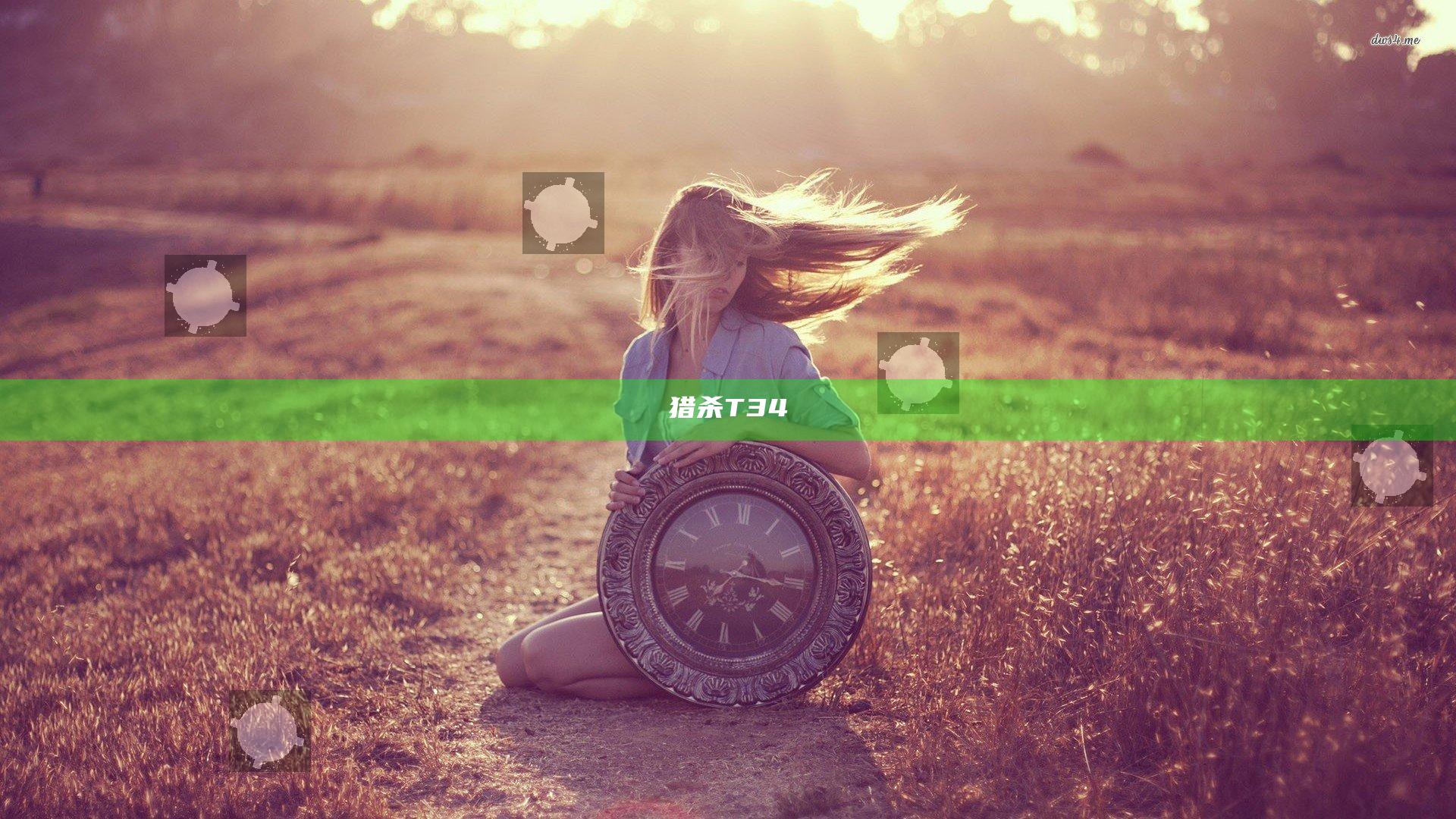 猎杀T34