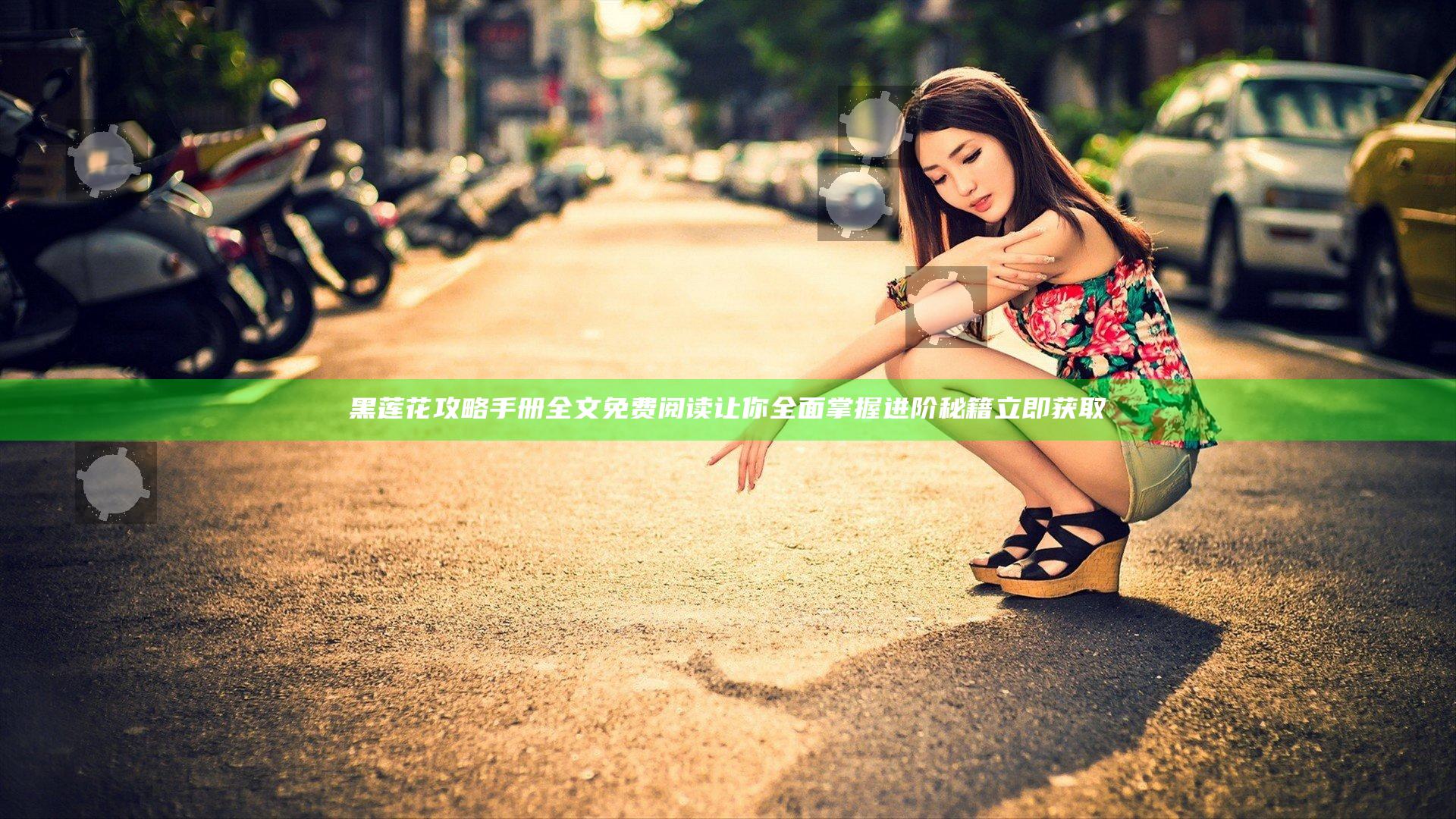 黑莲花攻略手册全文免费阅读让你全面掌握进阶秘籍 立即获取