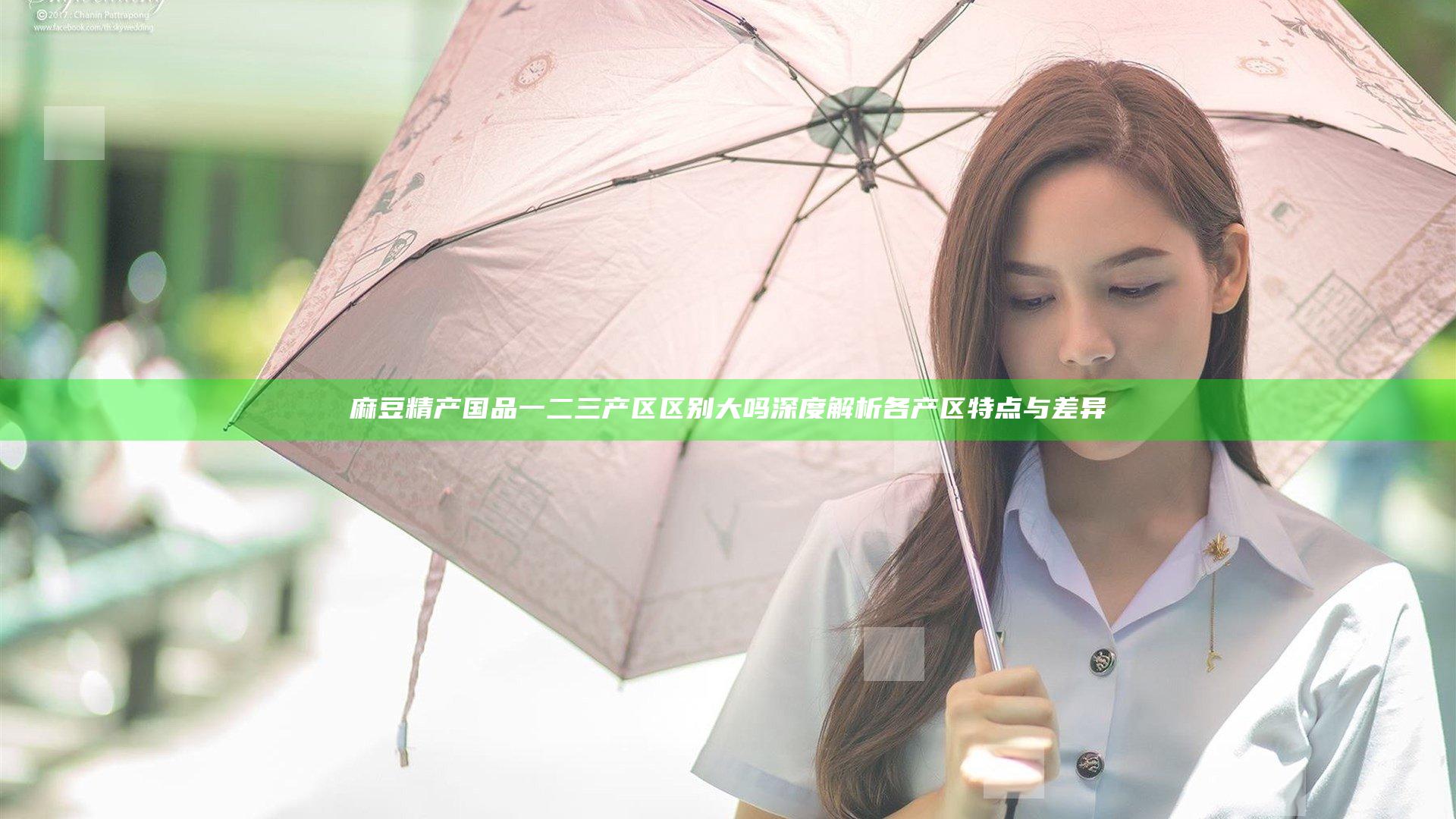 麻豆精产国品一二三产区区别大吗 深度解析各产区特点与差异