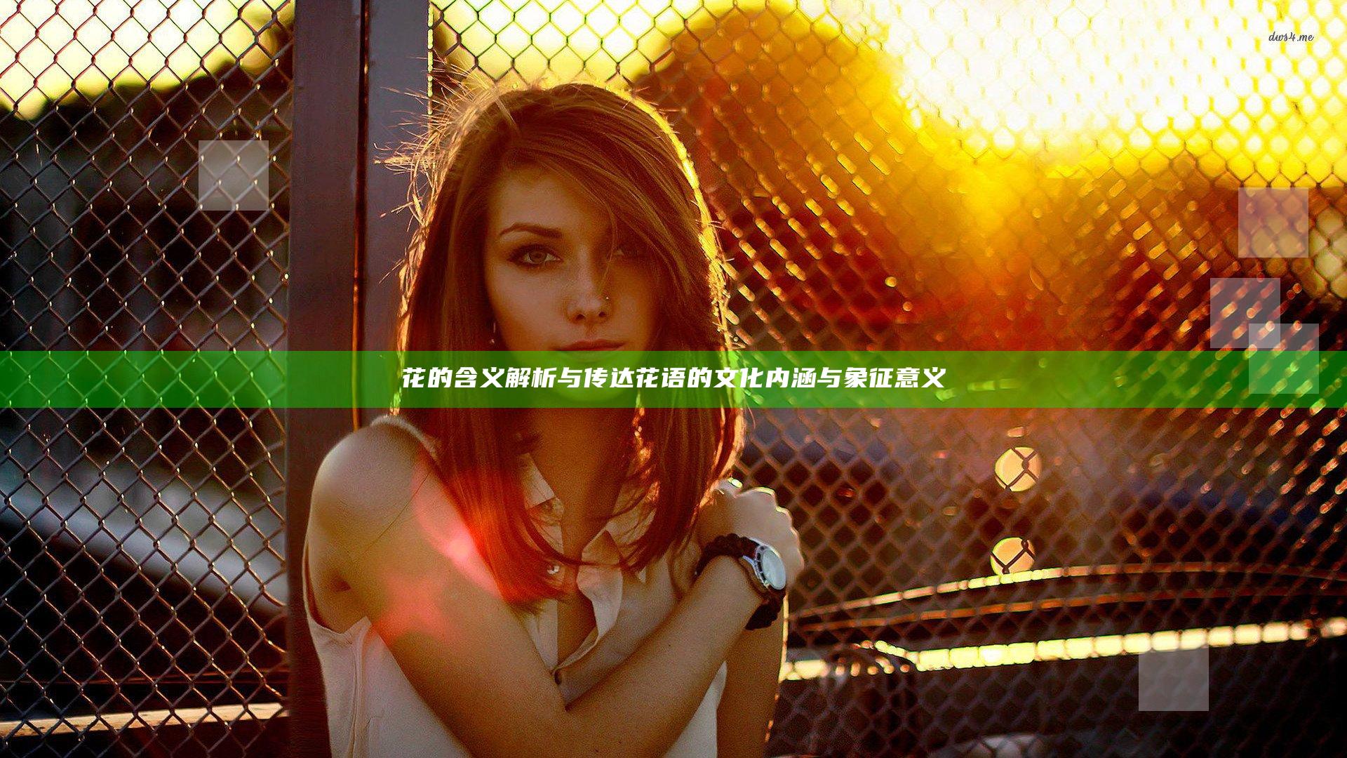 花的含义解析与传达花语的文化内涵与象征意义